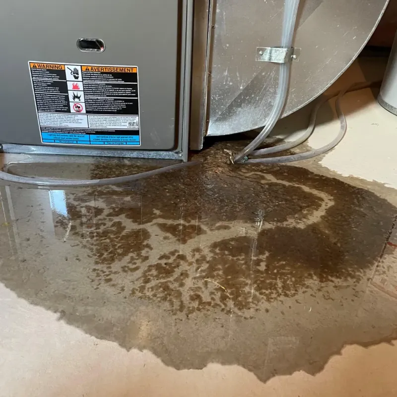 Appliance Leak Cleanup in Ashe County, NC